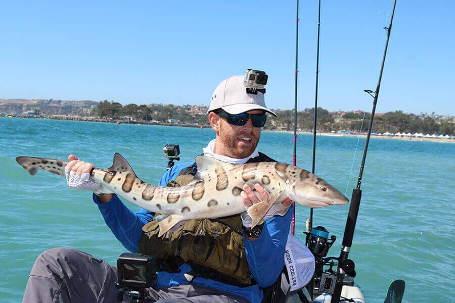 3 Simple Ways To Rig The Googan Squad Saucy Swimmer